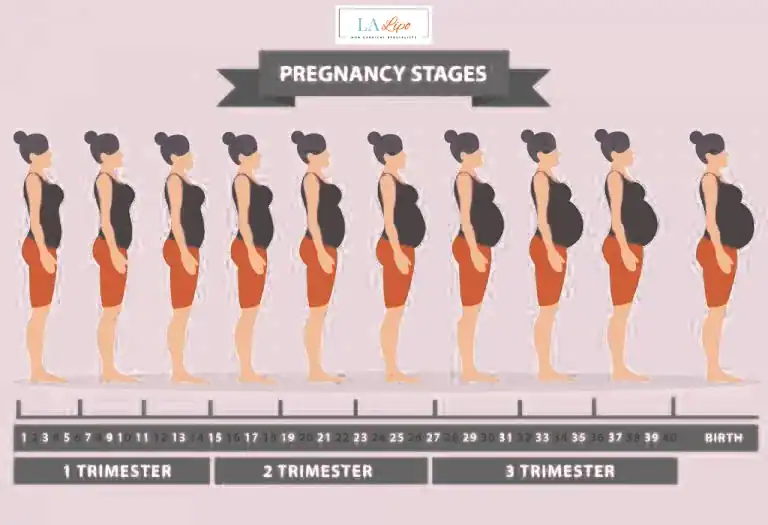 First Trimester (Weeks 1–12): Early Changes You Might Not Notice Greater London (Kensington and Chelsea)